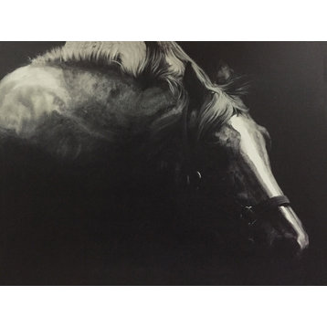 Wall Decor Painting Horse in the Dark I