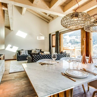 リヨンの広いラスティックスタイルのLDKの画像 (白い壁、濃色無垢フローリング、薪ストーブ、石材の暖炉まわり、茶色い床)