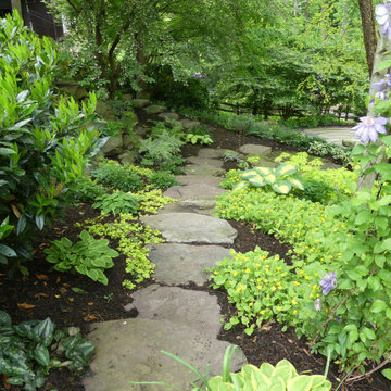Garage Hillside plantings using lots of native plants