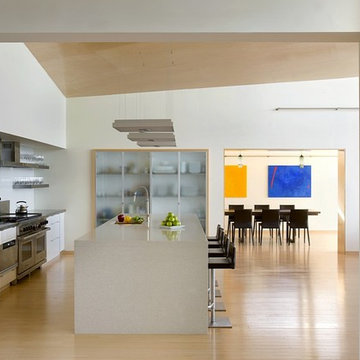Modern Beach Home Kitchen