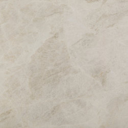 Taj Mahal Satin Quartzite - Tile