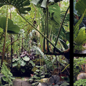 Le Petit Jardin