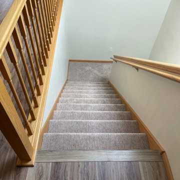 Carpeted Stairs