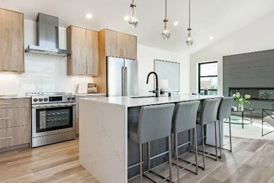 Inspiration for a kitchen remodel in Denver