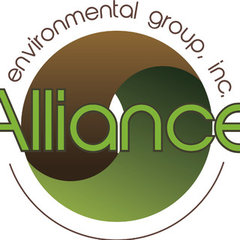 Alliance Environmental Group Inc