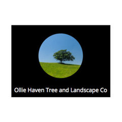 Ollie Haven Tree and Landscape Co