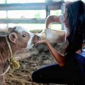 Alba Lourdes's photo