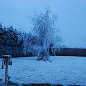 Tracey Butler's photo