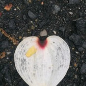 Foto von Kim Mason