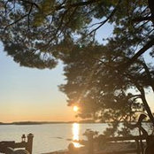 Mary Saracene's photo