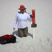Carolyn Stein's photo