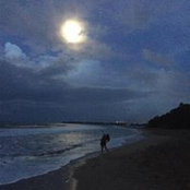 Lisa Touchton's photo