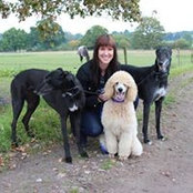 Sandra Kimberlin's photo