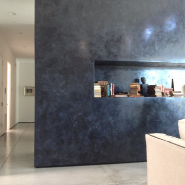 Venetian Plasters