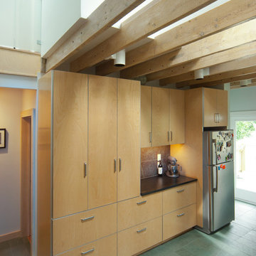 Modern Transformation of Century-old Belmont MA House