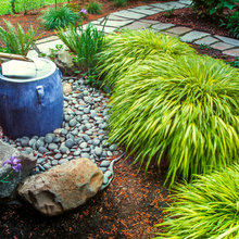 Asian Gardens