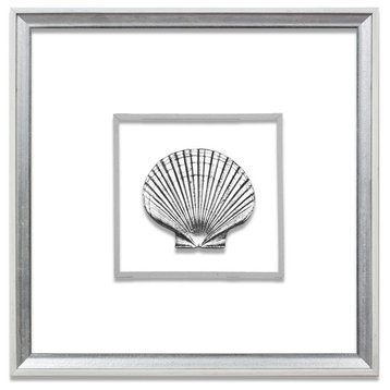 Scallop Suspended Between Glass With A Decorative French Line, Silver