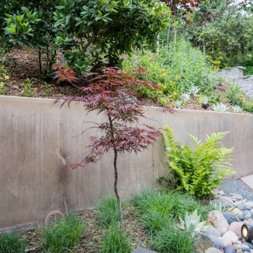 New Plant Beds