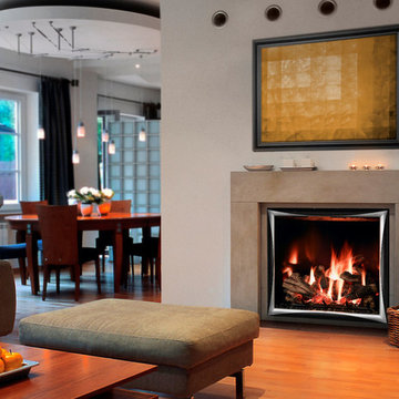 Mendota Fireplaces