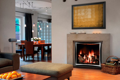 Inspiration for a mid-sized modern formal and open concept medium tone wood floor living room remodel in Other with brown walls, a standard fireplace and a stone fireplace