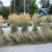 lakehouse landscaping