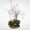 White Real Touch Phalaenopsis Silk Orchid Arrangement in a Natural Teak Bowl