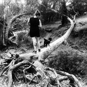 Sara Chaisson's photo