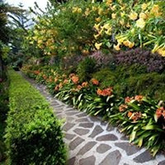 CAESAR GARDEN