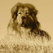 Jas Clarke's photo