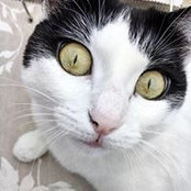 Emanuela Markova's photo