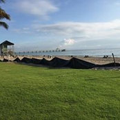 Ken Mark's photo