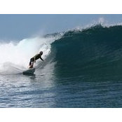 Geoffrey Bell's photo