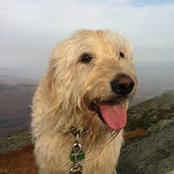 Lisa Stanton's photo