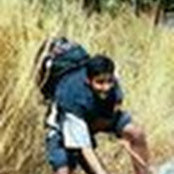 Prashanth Prabhakaras billede