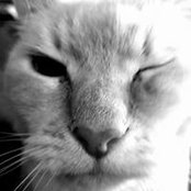Heidi Odom's photo