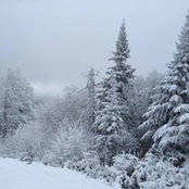 Kasia Stetic's photo