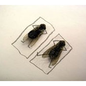 Martin Piirmaa's photo