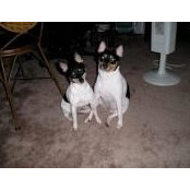 Bonnie Munsey's photo