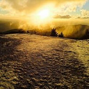 Mike Morcos's photo