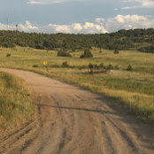 Foto von Rod DaMan