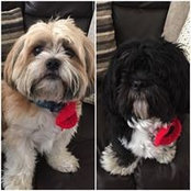 Mandy Westby's photo