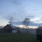 Sharon Roe's photo