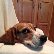 Mike Dugas's photo