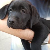 Nicole McClain's photo