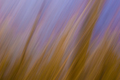 Abstract Photography