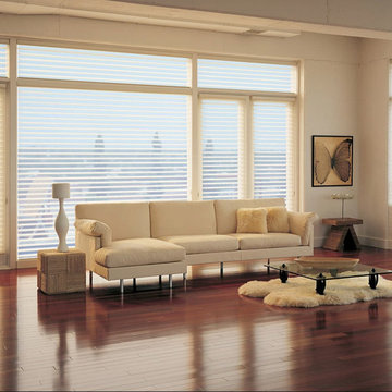 Silhouette Shades