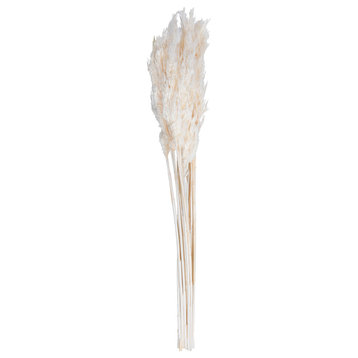 Vickerman all Natural Plume Reed Bundle, Preserved, Bleached