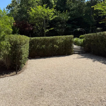 Screening Trees