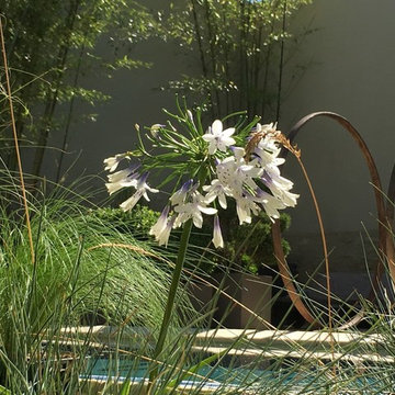 Jardin de village