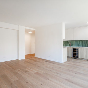 Full Apartment Renovation